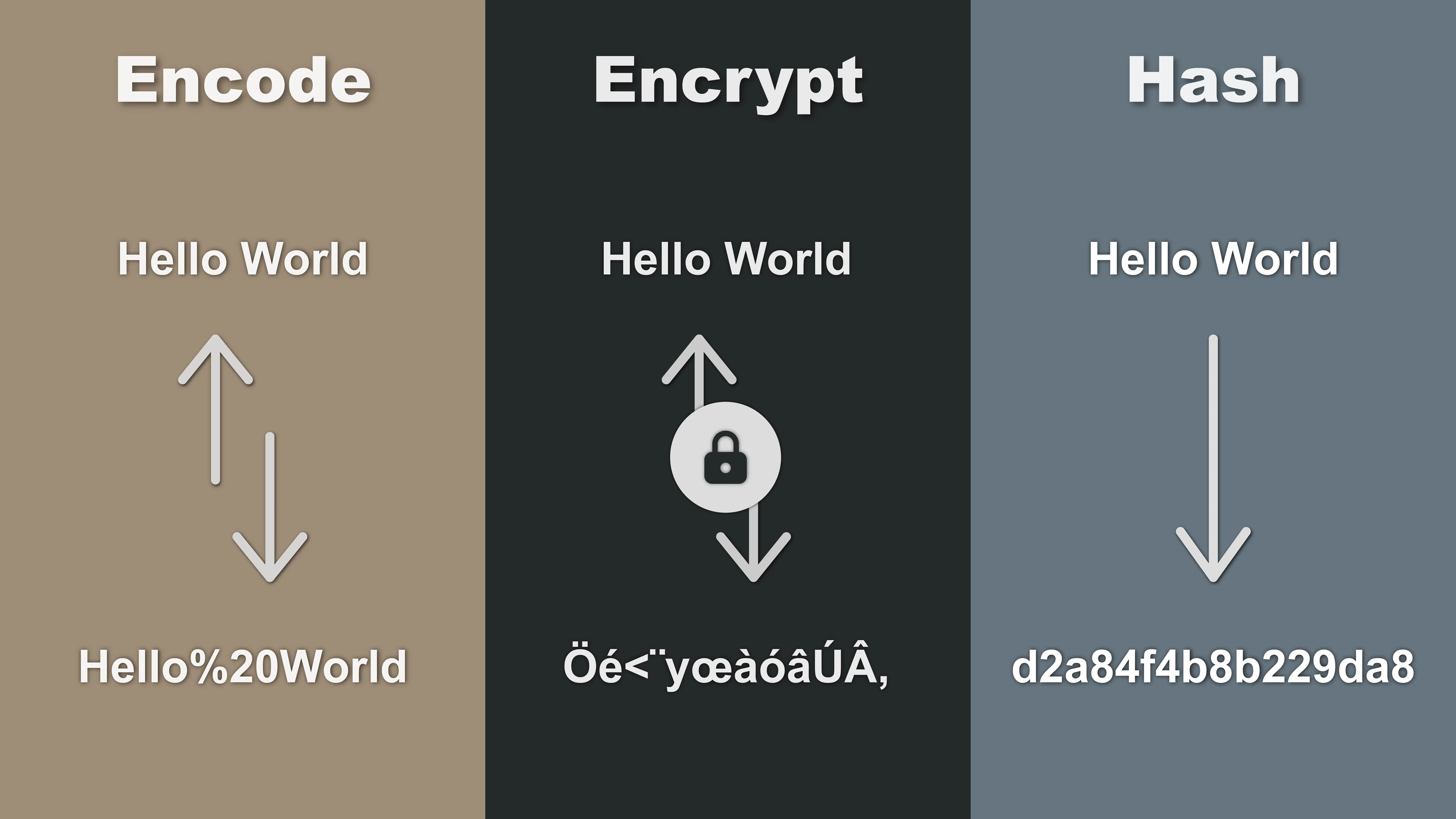 An infographic with the text Encode, Encrypt, Hash with arrows underneath showing examples of each.